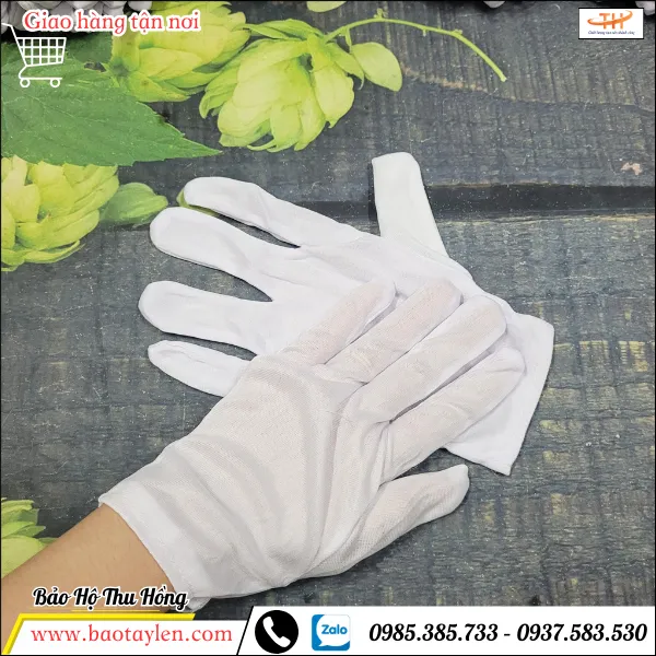 Bao tay vải thun T10