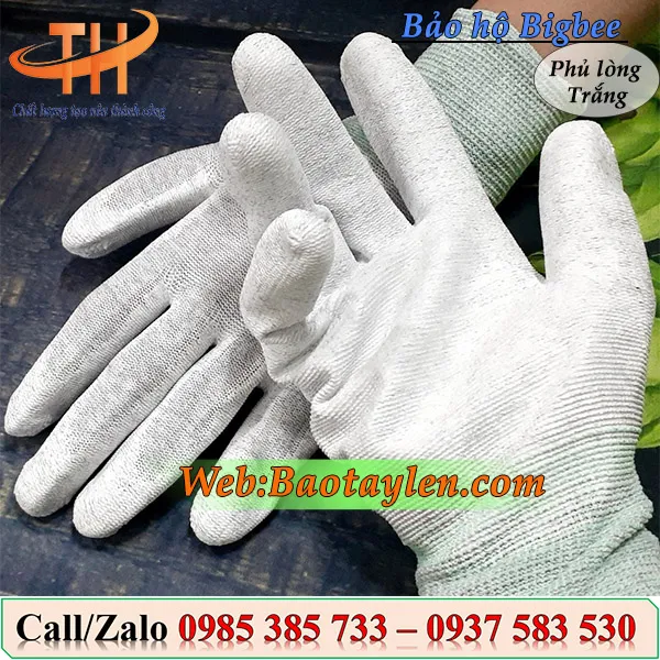 Bao tay trắng phủ PU bàn tay, ngón tay