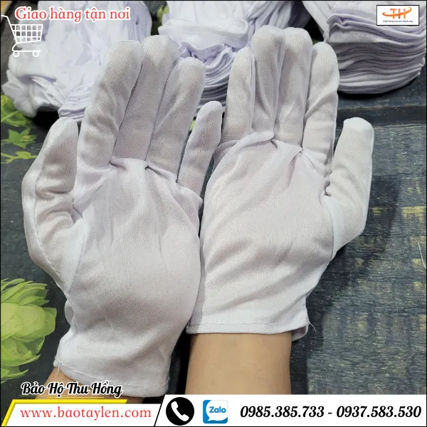 Bao tay vải thun T10