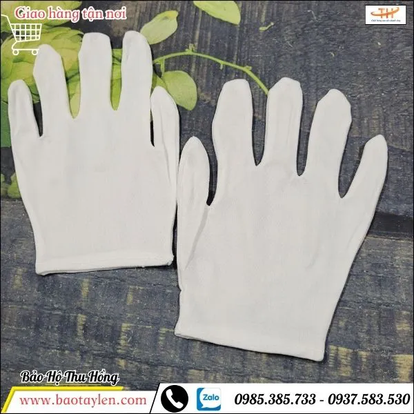 Bao tay vải thun L+2