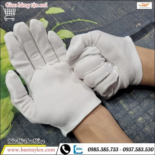 Bao tay vải thun L+2
