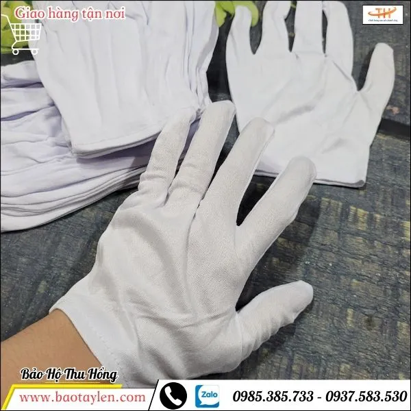 Bao tay vải thun L+2