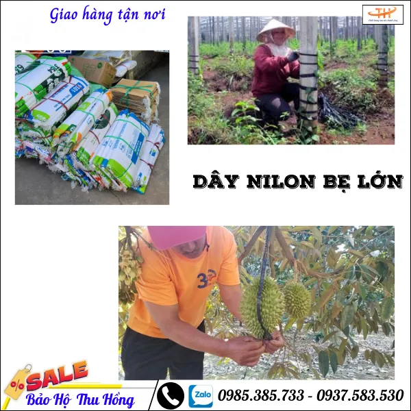 dây nilon bẹ  buộc hàng