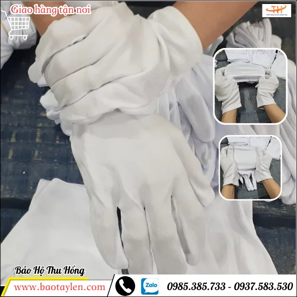 Bao tay thun T9 giá sỉ rẻ