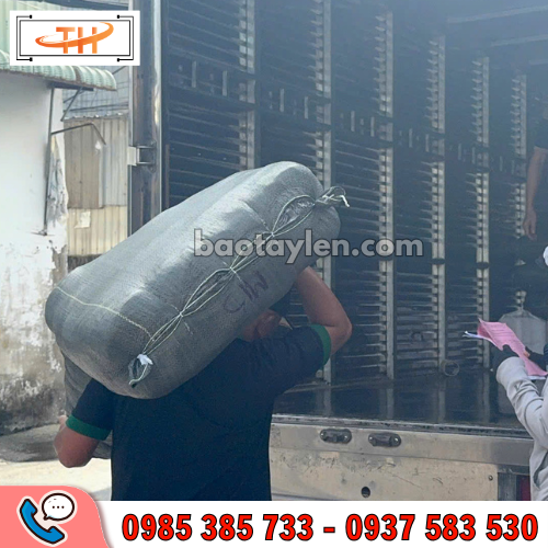 kho hàng găng tay TP.HCM kho hàng găng tay TP.HCM