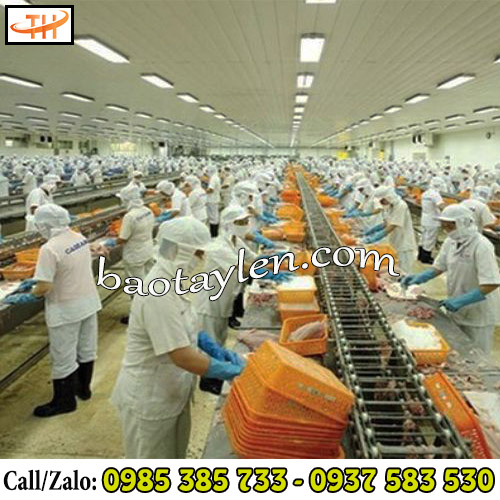 Ủng nhựa VAC phù hợp với nhiều ngành nghề Ủng nhựa VAC phù hợp với nhiều ngành nghề