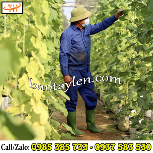 Ủng bảo hộ TGP lựa chọn hiệu quả từ nhà nông Ủng bảo hộ TGP lựa chọn hiệu quả từ nhà nông