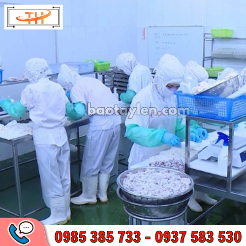 Ủng cao su trắng đế vàng được dùng phổ biến trong ngành thuỷ sản Ủng cao su trắng đế vàng được dùng phổ biến trong ngành thuỷ sản