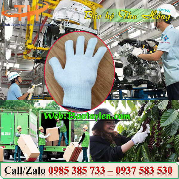 Ứng dụng của găng tay sợi poly