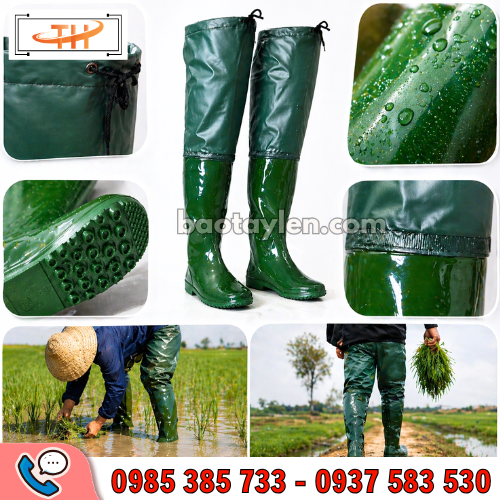 Chi tiết và ứng dụng của sản phẩm Chi tiết và ứng dụng của sản phẩm