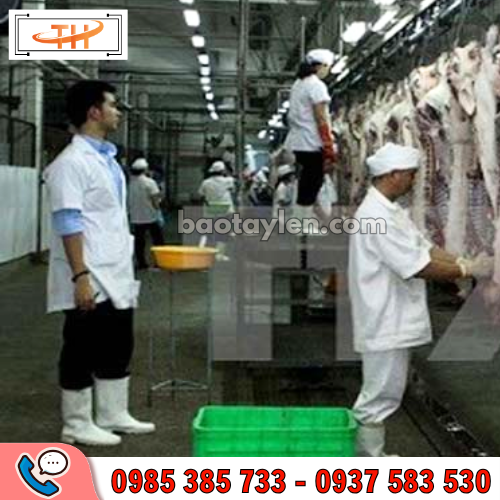 Ủng xốp siêu nhẹ được dùng phổ biến trong chế biến thực phẩm Ủng xốp siêu nhẹ được dùng phổ biến trong chế biến thực phẩm