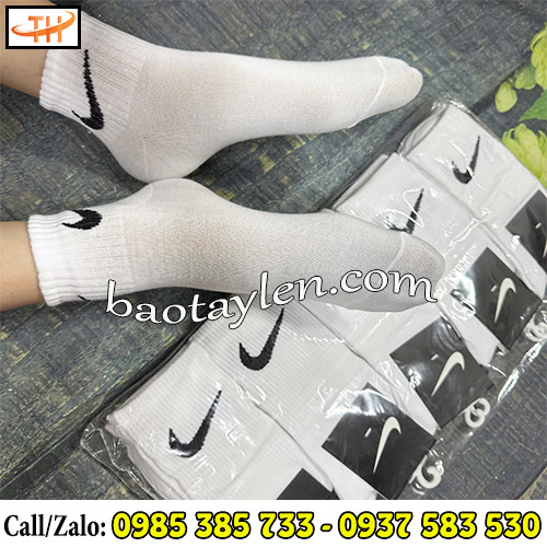Vớ nữ cotton đa mẫu chất liệu cotton siêu thoáng Vớ nữ cotton đa mẫu chất liệu cotton siêu thoáng