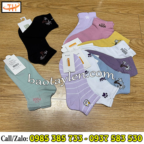 Vớ nữ cotton phù hợp cho mọi trang phục Vớ nữ cotton phù hợp cho mọi trang phục