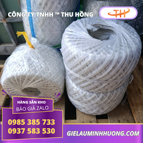 Bán dây nilon nem cuộn 1kg giá sỉ rẻ từ nhà máy Bán dây nilon nem cuộn 1kg giá sỉ rẻ từ nhà máy