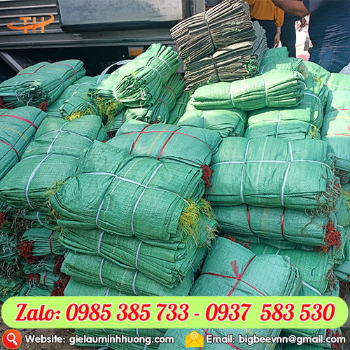 Bao tải dứa của Công ty Thu Hồng