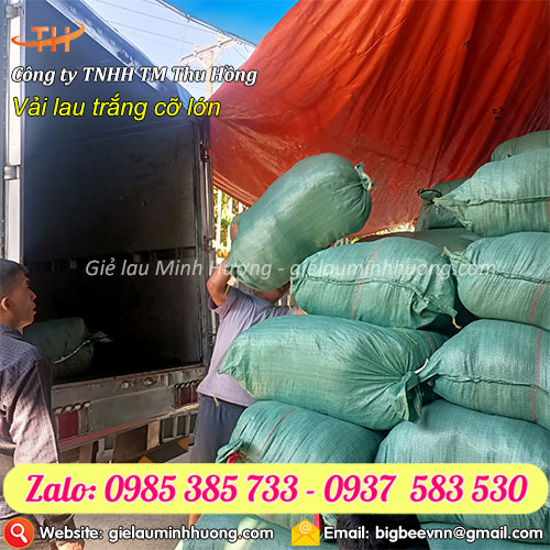 Chuyên sỉ từ 500kg vải lau trắng cỡ lớn giao toàn quốc  Chuyên sỉ từ 500kg vải lau trắng cỡ lớn giao toàn quốc