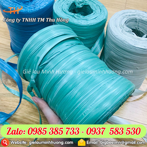 Có nên sử dụng dây nilon màu gói bánh chưng dịp Tết? Có nên sử dụng dây nilon màu gói bánh chưng dịp Tết?