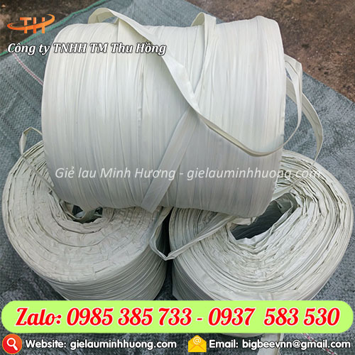 Dây dứa gói hàng loại 1kg giá rẻ cho cơ sở buôn bán Dây dứa gói hàng loại 1kg giá rẻ cho cơ sở buôn bán