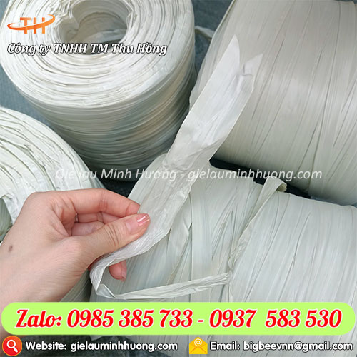 Dây dứa gói hàng loại 1kg nhựa PP siêu dai Dây dứa gói hàng loại 1kg nhựa PP siêu dai