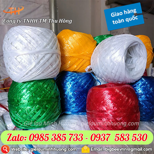 Dây dứa nilon 30g, 40g, 100g, 250g, 500g, 600g Dây dứa nilon 30g, 40g, 100g, 250g, 500g, 600g