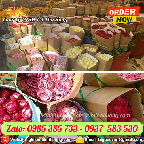 Dây dứa nilon buộc hoa tươi an toàn và chắc chắn