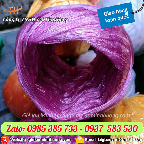 Dây dứa nilon cuộn 100g màu tím Dây dứa nilon cuộn 100g màu tím