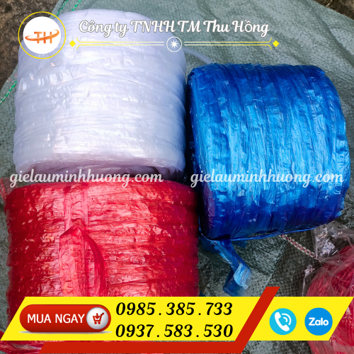 Dây nilon 500g gói bánh tét nhiều màu đẹp Dây nilon 500g gói bánh tét nhiều màu đẹp