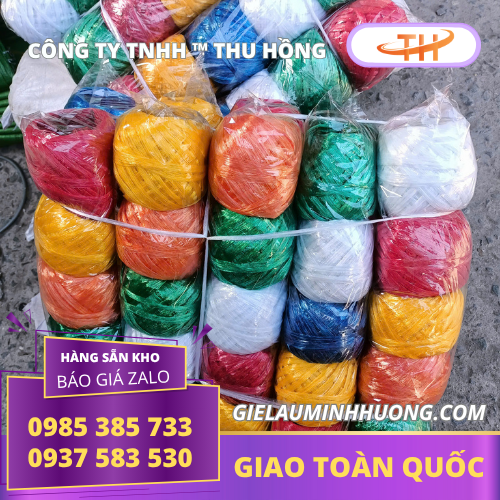 Dây nilon cột hàng loại nhỏ đủ màu 10 cuộn Dây nilon cột hàng loại nhỏ đủ màu 10 cuộn