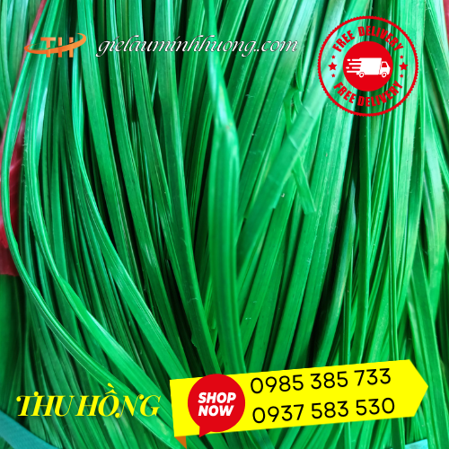 Dây nilon kẽm cứng  Dây nilon kẽm cứng