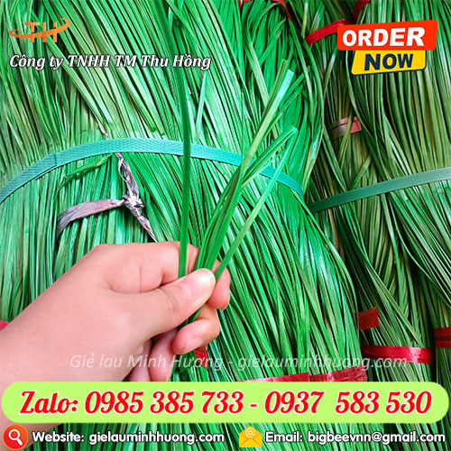 Dây nilon kẽm sợi cứng dẻo Dây nilon kẽm sợi cứng dẻo