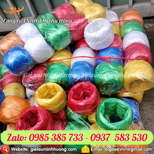 Dây nilon màu gói bánh chưng giá rẻ cho dịp Tết Dây nilon màu gói bánh chưng giá rẻ cho dịp Tết
