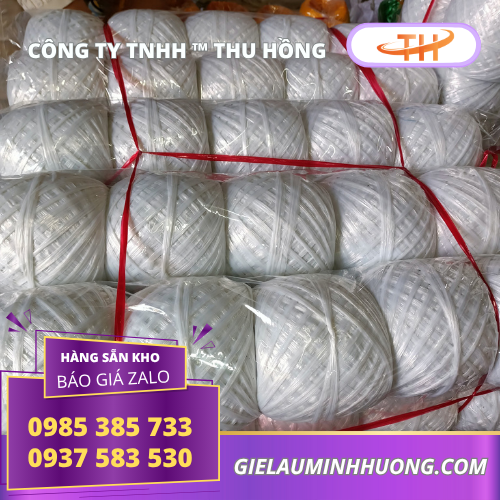 Dây nilon nem cuộn 1kg bỏ sỉ 1 cây 10 cuộn Dây nilon nem cuộn 1kg bỏ sỉ 1 cây 10 cuộn