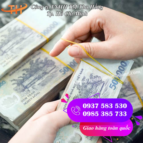 dây thun vàng loại lớn ứng dụng đa dạng