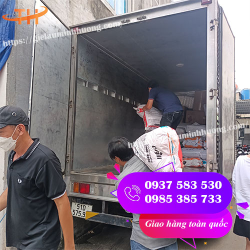 đi giao túi hột xoài PP trong loại dày cho khách