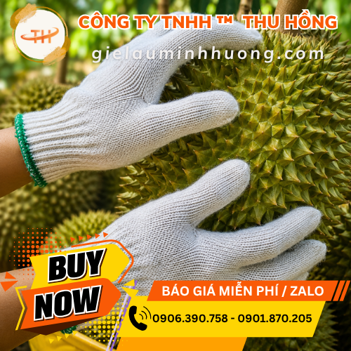 Găng tay len hái sầu riêng an toàn cho nhà vườn Găng tay len hái sầu riêng an toàn cho nhà vườn