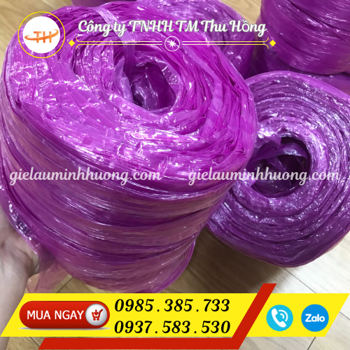 Giá sỉ cây 10 cuộn dây nilon 500g gói bánh tét 2025 Giá sỉ cây 10 cuộn dây nilon 500g gói bánh tét 2025