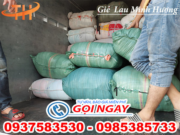 giao giẻ lau bao tay & bao tải ở Q3 03