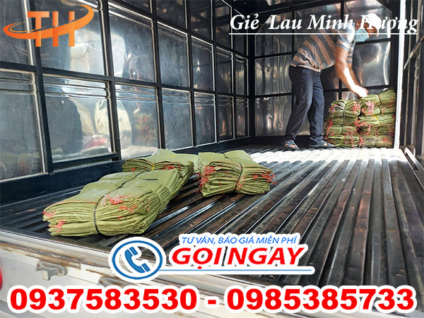 giao giẻ lau bao tay & bao tải ở Q3 04