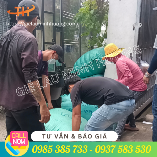 Giao hàng dây vải cột trồng tiêu tại TPHCM Giao hàng dây vải cột trồng tiêu tại TPHCM