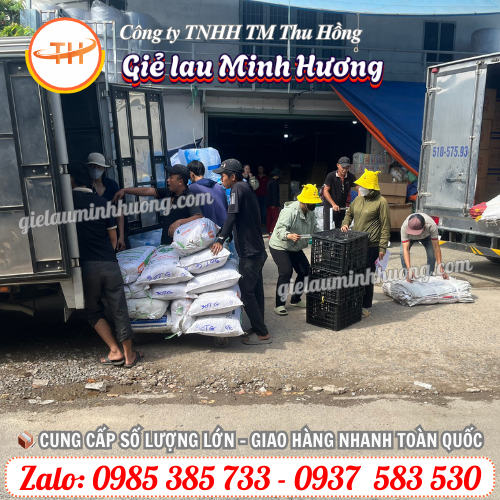 Giao hàng găng tay xốp zin nam tại kho Thu Hồng Giao hàng găng tay xốp zin nam tại kho Thu Hồng