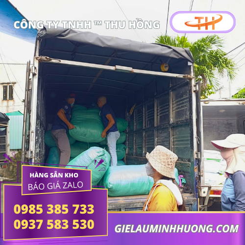 Giao giẻ lau miễn phí tại TPHCM Giao sỉ giẻ lau công nghiệp miễn phí ở TPHCM