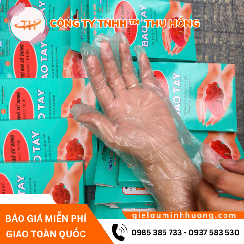 Hộp găng tay nilon dùng một lần 100 chiếc tiết kiệm chi phí Hộp găng tay nilon dùng một lần 100 chiếc tiết kiệm chi phí
