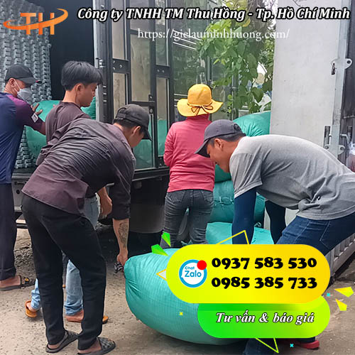 lên hàng dây cột cây tiêu đi Đắk Nông lên hàng dây cột cây tiêu đi Đắk Nông