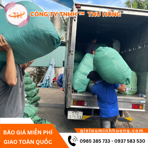 Lên hàng khăn lau cotton màu đóng bao sẵn Lên hàng khăn lau cotton màu đóng bao sẵn