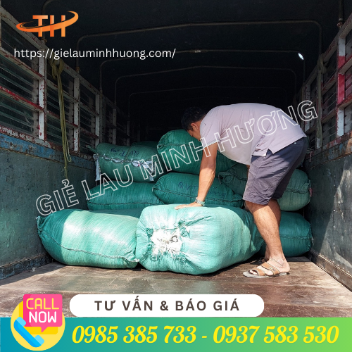 Lên hàng vải lau tại Vĩnh Lộc, Bình Chánh Lên hàng vải lau tại Vĩnh Lộc, Bình Chánh