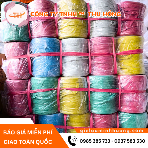 Mua dây nilon PP buộc hàng 1kg sẵn hàng tại Thu Hồng Mua dây nilon PP buộc hàng 1kg sẵn hàng tại Thu Hồng