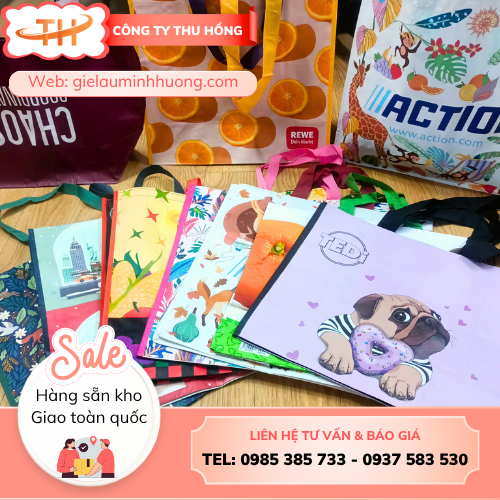 Túi siêu thị in hình  Nguồn hàng túi siêu thị in hình giá sỉ, giao nhanh toàn quốc
