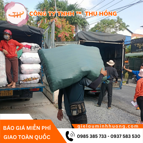 Nguồn vải lau màu cao cấp giá sỉ sẵn kho Thu Hồng Nguồn vải lau màu cao cấp giá sỉ sẵn kho Thu Hồng
