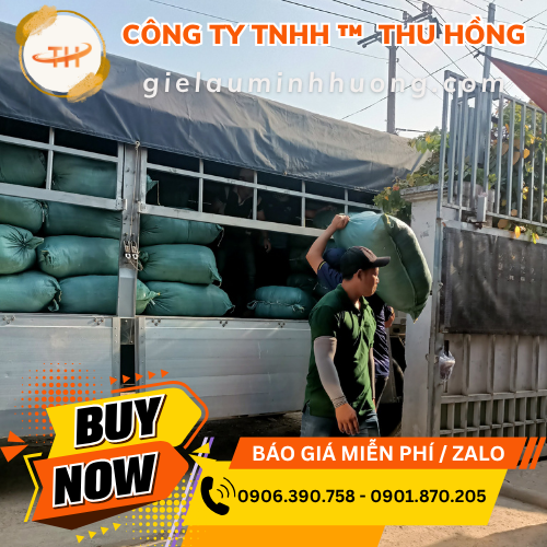 Nhân viên Thu Hồng giao khăn gội đầu tận nơi TPHCM Nhân viên Thu Hồng giao khăn gội đầu tận nơi TPHCM
