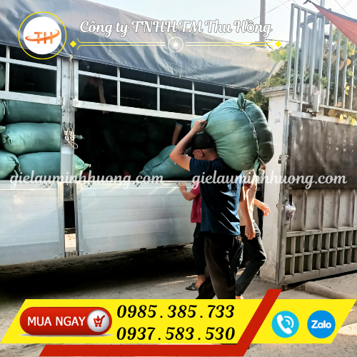 Quéo vải trắng giá sỉ đầu tấn tốt nhất Quéo vải trắng giá sỉ đầu tấn tốt nhất